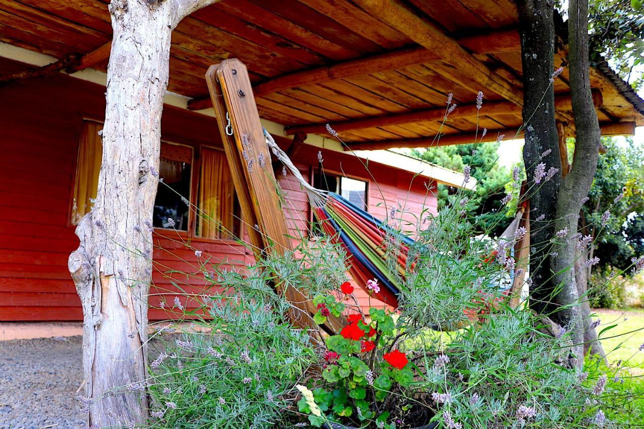 Cabanas Paihuen Pucón Exterior foto